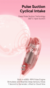 Suitcase Sex Toy Set with Sucking Vibrating Egg