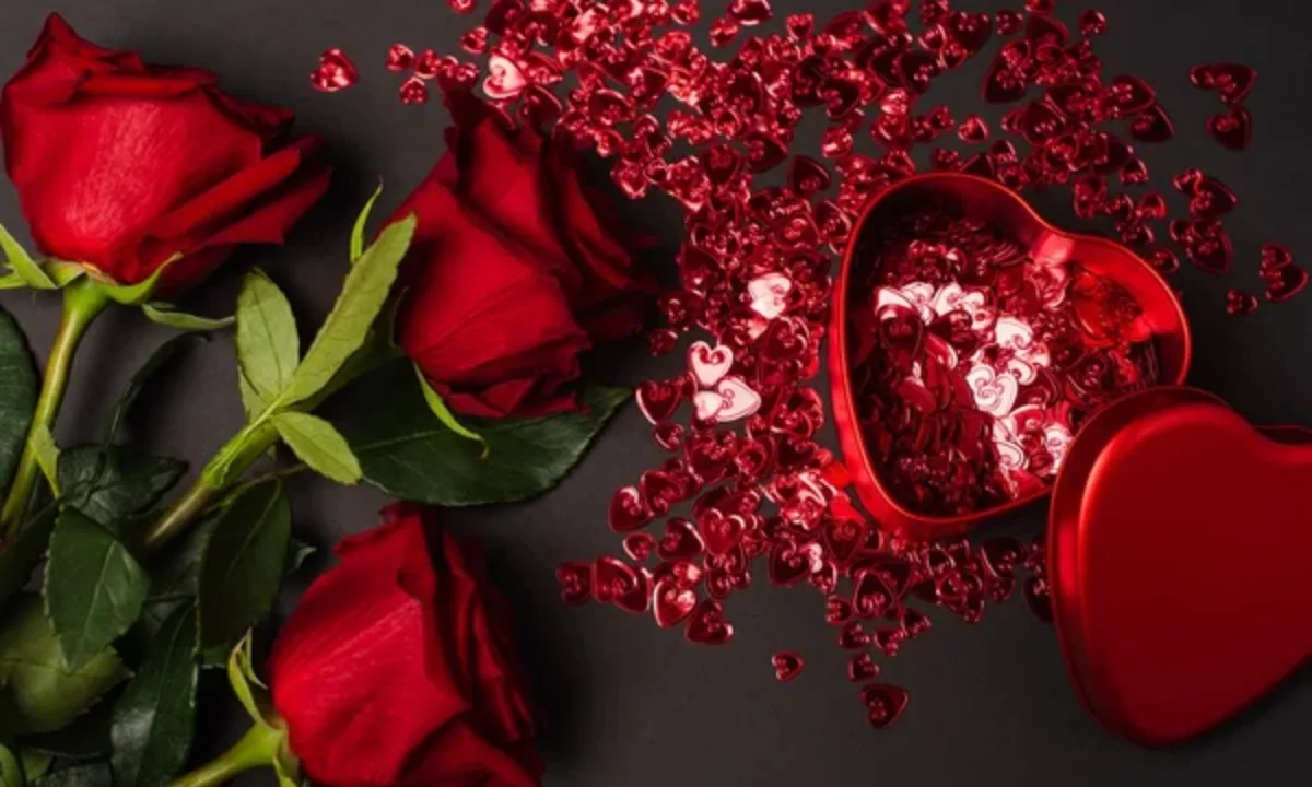 Valentine’s Day Gift Selection Tips: Sex Toys Edition