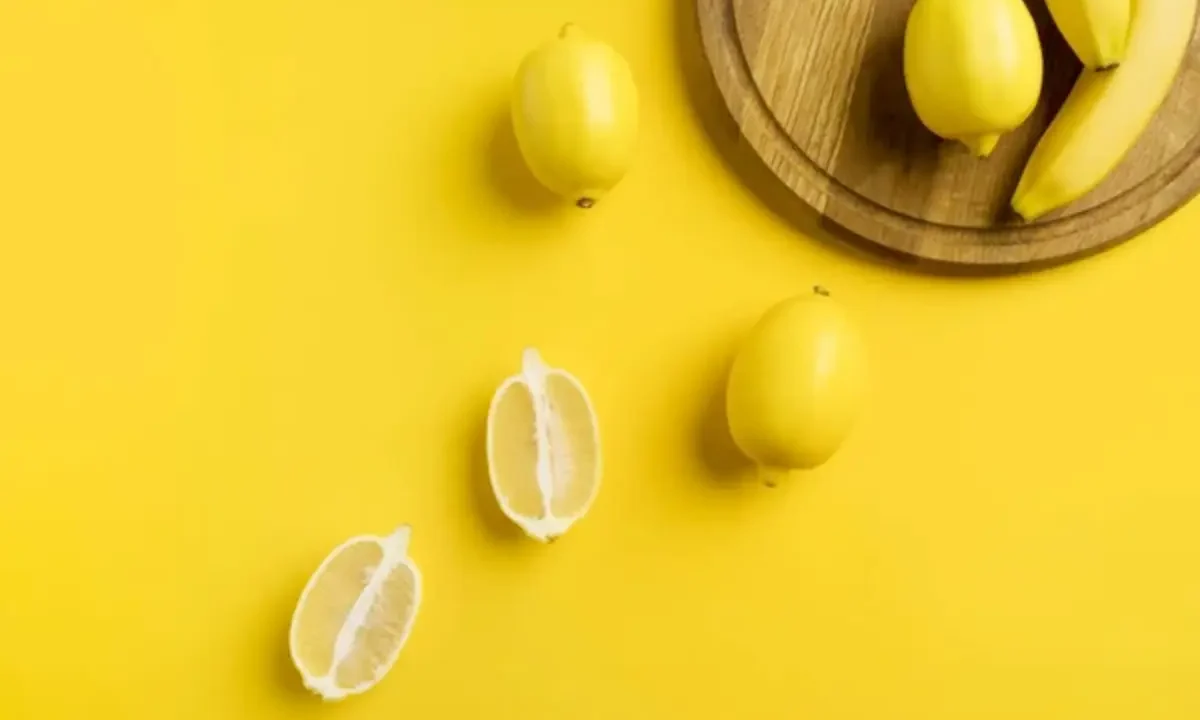Beginners Will Love Lemon Toys