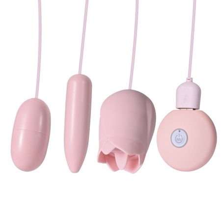 Pink Remote Control Vibrator Set